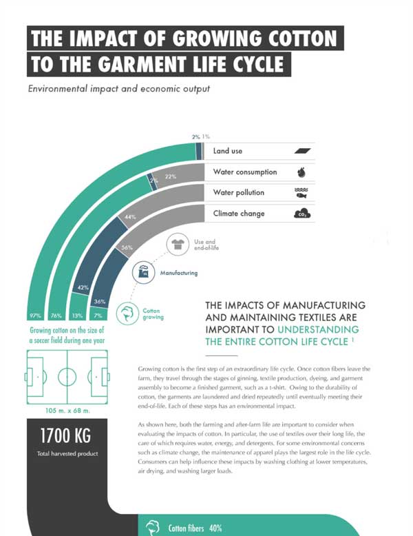 View The Impact of Growing Cotton Document