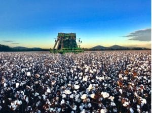 Photo of Nick McMichen's Cotton Farm in Alabama