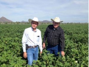 Photo at Hatley's Cotton Farm in Arizona