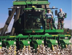 Photo of Taylor's Cotton Farm in Mississippi