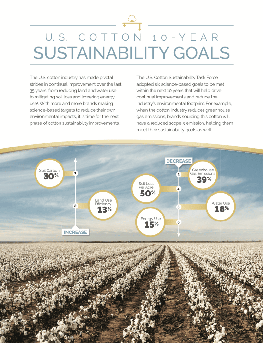 Cotton 10 Year Sustainability Goals Thumbnail