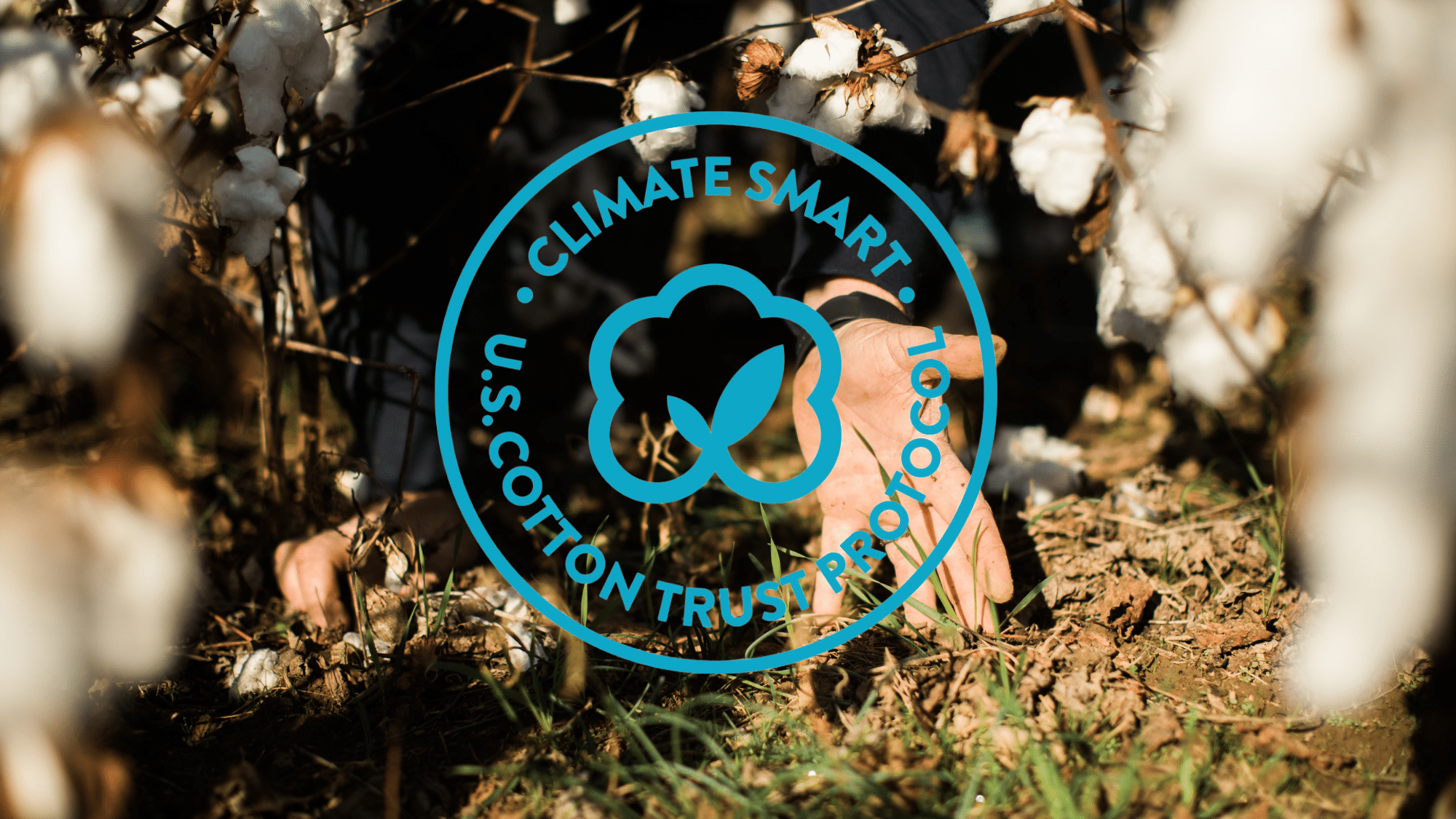 U.S. Cotton Growers Can Now Apply for the Climate Smart Cotton Program -  Trust US Cotton Protocol