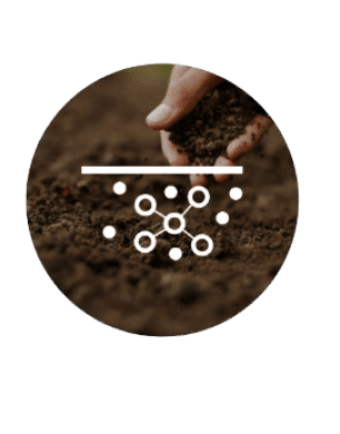 Soil Carbon