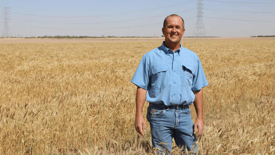photo of U.S Cotton Trust Protocol grower, Allan Fuchs