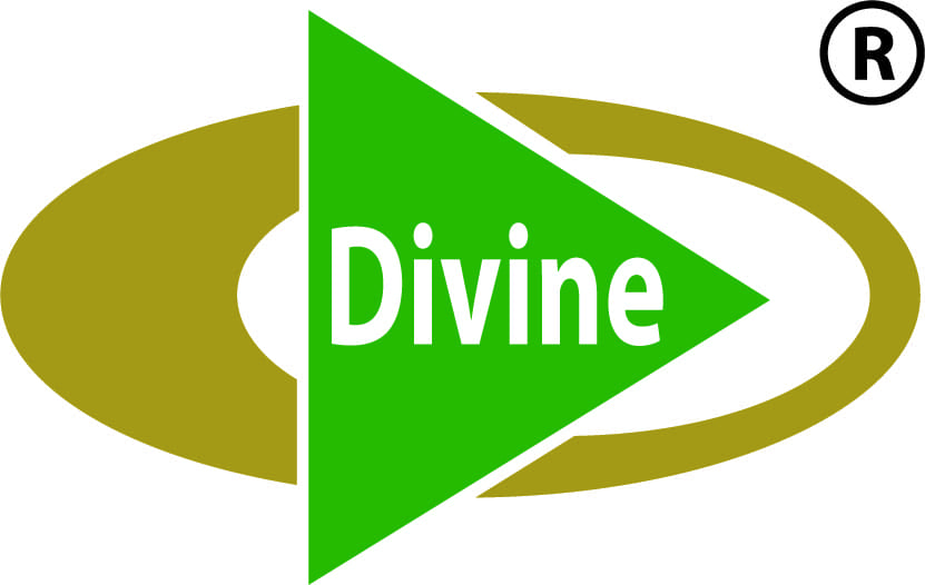 Divine Spinning Mills Limited