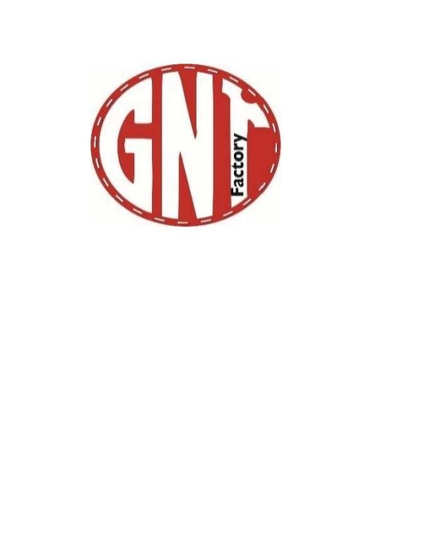 Great New Talent Factory (Hong Kong) Limited