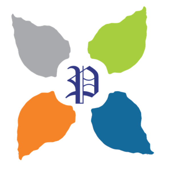 Paramount Textile Mills P Ltd.
