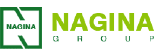 Nagina Cotton Mills LTD