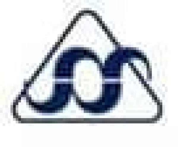 Shanghai Sanjin Import And Export Co.