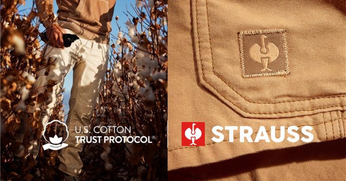 Strauss Website Header V3 1.png